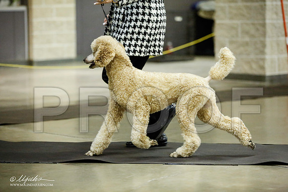 _JJ_5636-BeltonJan2015IABCA-HR3