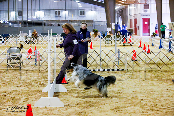 _JJ_4055-ASCACollegeStationNov2014-HR3