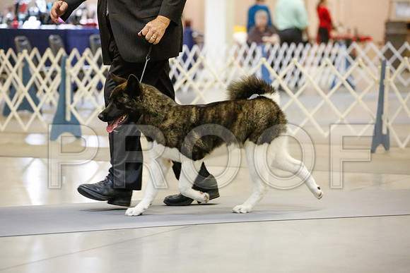 _JJ_9335-AmarilloSept2014-HR3