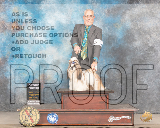 Shih Tzu #9 Sun G4 Judge Jim FehringMMJ_5746_Mdlnd2022_HR3