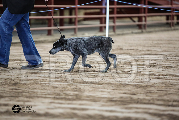 MJ2_0578-WacoFeb14-HR