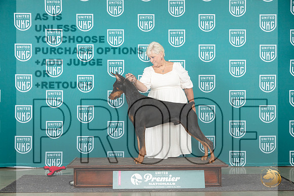 Doberman PInscher #959 Brinkx__JP_2159_Premier_2024_HR3
