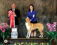 #12 Sat BOS Smooth Erin Gornei and Adam Gornei Judge R Sheets