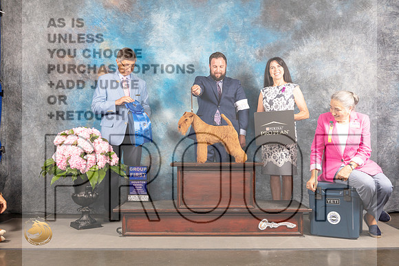 Lakeland Terrier #6 Thur G1 Judge Richard Powell_MJ_4692_Houston_2022_HR3