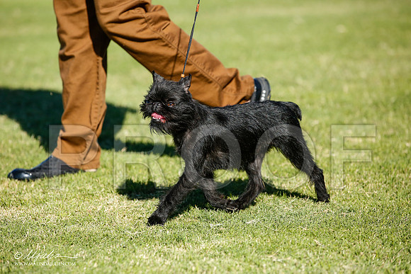 _JJ_6641-AlamogordoOct2014-HR3