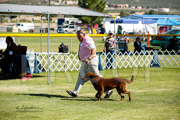 _JN_1392-AlamogordoOct2014-HR3