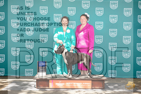 American Pitbull Terrier #285 Sun 1st Judge Kathrine Short__JP_1893_Longview WA_2024_HR3