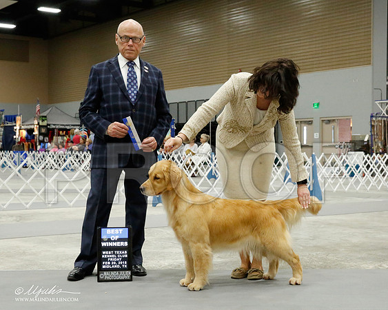 _CL_6045-BeltonJan2015IABCA-HR3