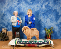 Chow Chow #8 Sat BOS BOW Maj +A1