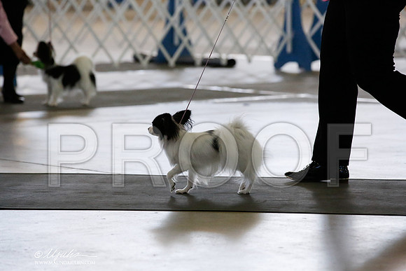 _CK_5627-DallasJul2014-HR3