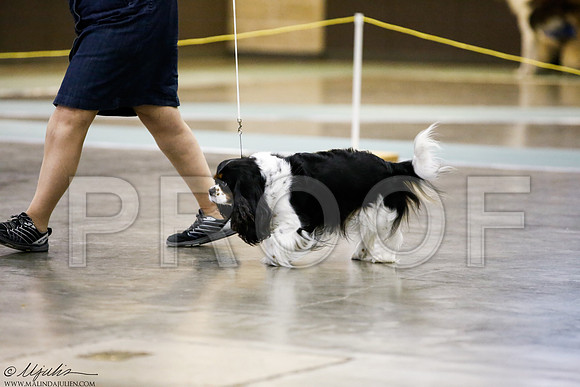 _J3L9966-BeltSep2014-HR