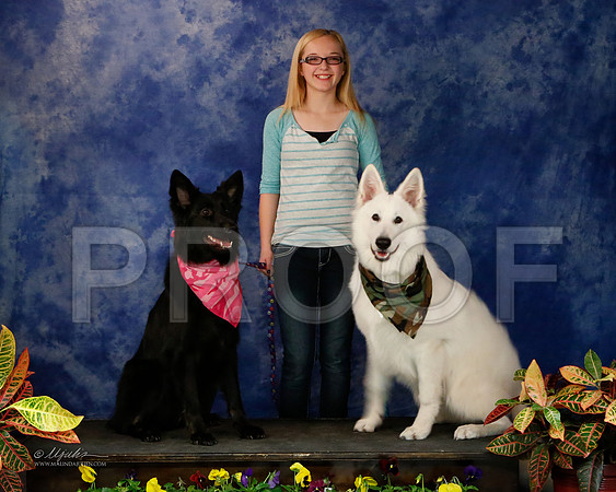 GSD-9180-NormNov13-HR