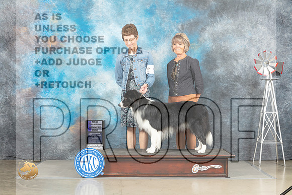 Border Collie #5 Thur WDCh Judge Sharon Derrick_MJ_3560_Amarillo_2022_HR3