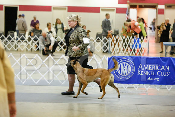 _JJ_2670-AmarilloSept2014-HR3