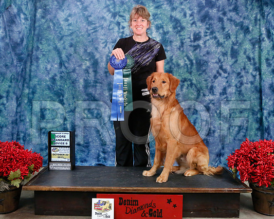 StdNov-8888-WFOct2013-HR