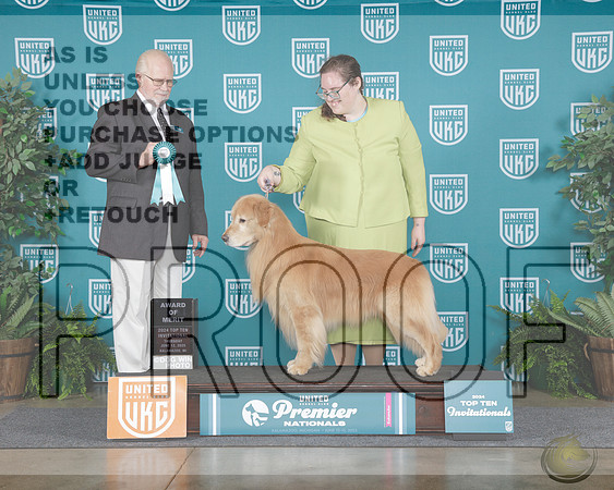 Golden Retriever #1000 Thurs AOM Judge Fred HyerGolden Retriever #1000 Thurs AOM Judge Fred Hyer_WP_6309e-UKC Premier 2025-HR3