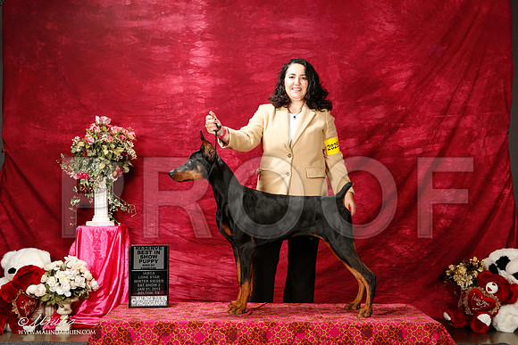 _ST_2712-2-BeltonJan2015IABCA-HR3