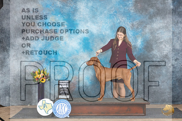 Vizsla #5 Sat G4 Judge Sharol Candace Way__JP_0021_Abilene_2024_HR3