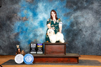Havanese #7 Sun BOBGCH Judge Tim Robbins