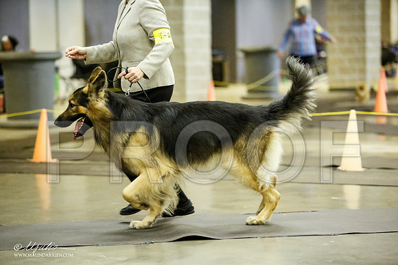 _JJ_6622-BeltonJan2015IABCA-HR3