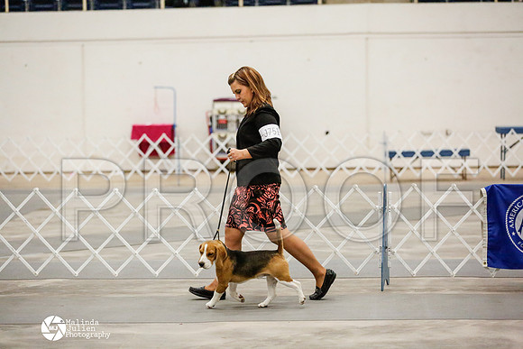 _RH_2104-AblnMay2014-web