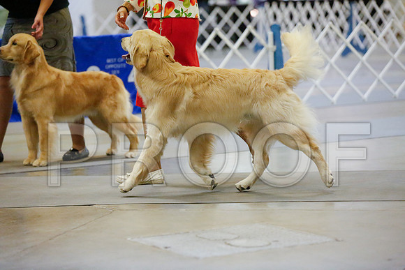 _JJ_7094-AmarilloSept2014-HR3