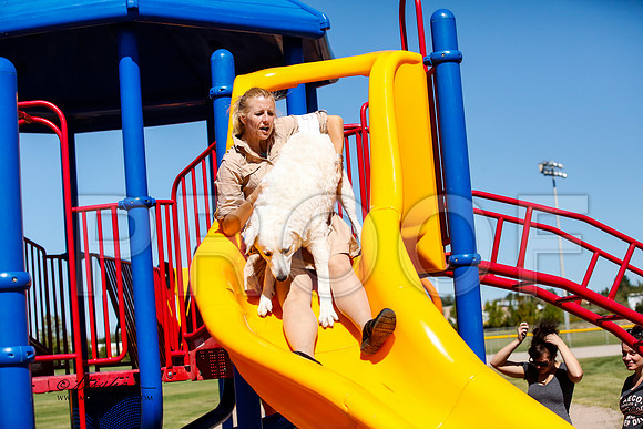 _JJ_3371-AlamogordoOct2014-HR3