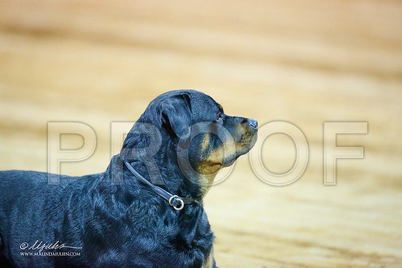 Rott-5088-MrshllDec13-HR