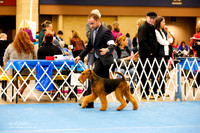 Terrier Group Sat Ring