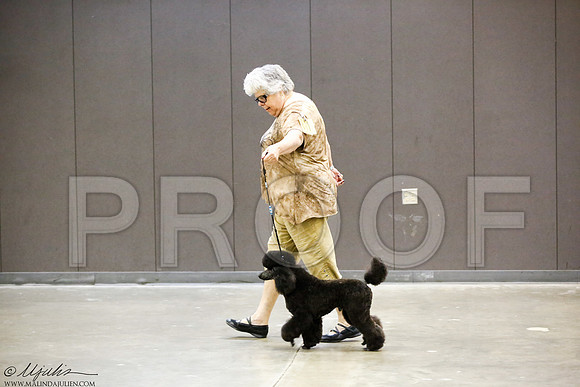 _J3L0178-BeltSep2014-HR