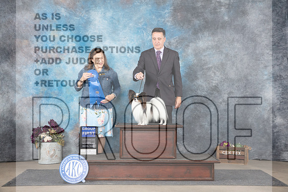 Papilion #11 Su G1 Judge Joan Liebes__JP_8044_Belton_2024_HR3
