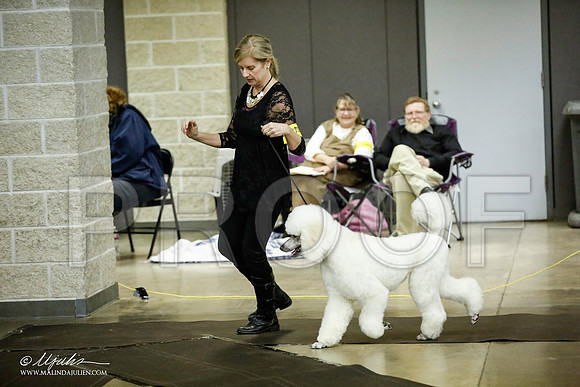 _JJ_5883-BeltonJan2015IABCA-HR3