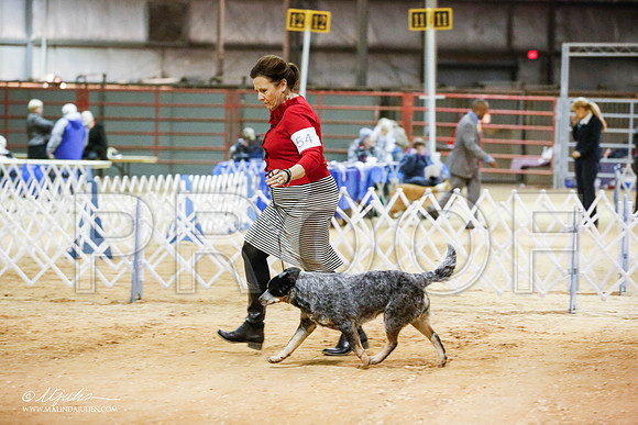 _JN_4733-2-GlenRoseJan2015-HR3