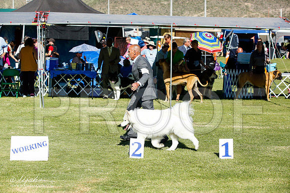 _JN_7480-AlamogordoOct2014-HR3