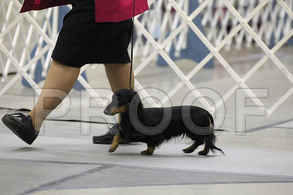 MJS_0149