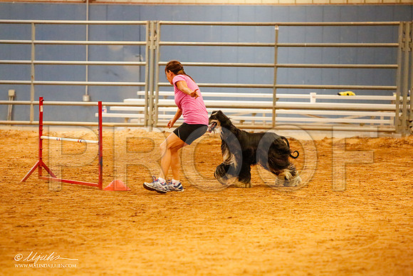 _MJ_2695-AfgBeltonOct2014-HR3