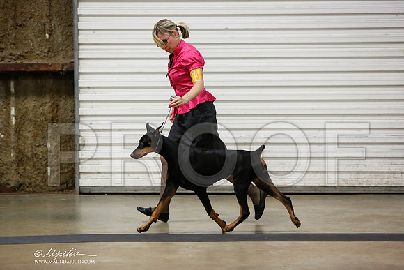 _JN_1198-CnroeJul2014-HR3