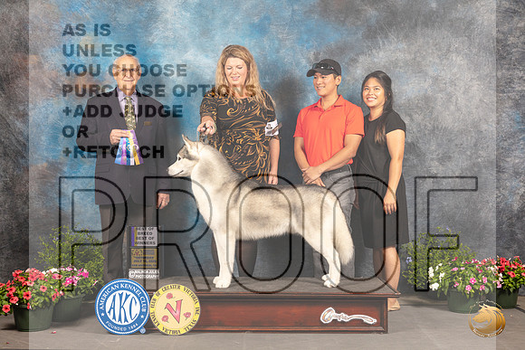 Siberian Husky #5 Sat BOB Judge Robert Shreve_MJ_0018_SA_2022_HR3