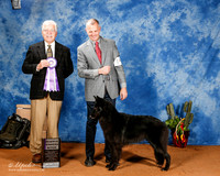 Belgian Sheepdog #14 Fri RWB +A1