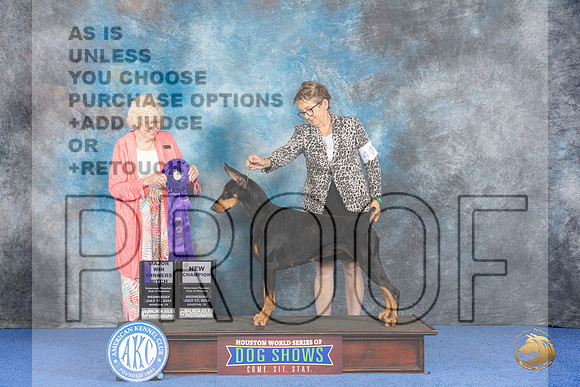 Doberman #40 WED WD NC Judge Nancy Liebes__JP_7309_Houston_2024_HR3