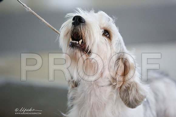 _JJ_2771-DallasJul2014-HR3
