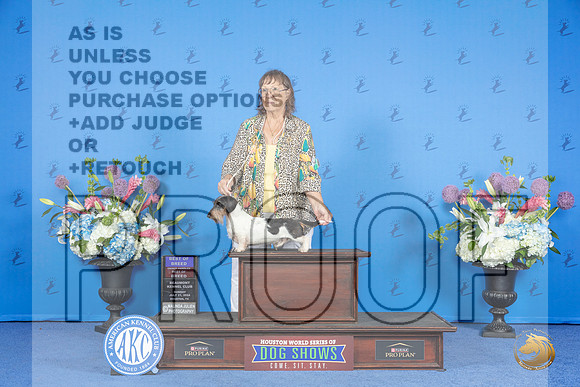 Dachshund Wire #11 SUN BOB OHBOB Judge Jon Cole__JP_0127_Houston_2024_HR3