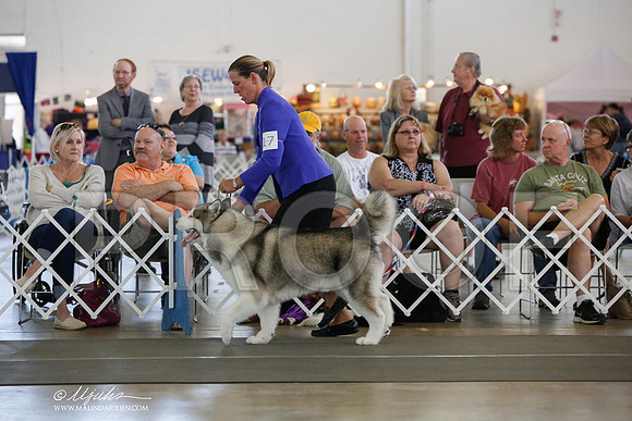 _JJ_1791-DallasJul2014-HR3