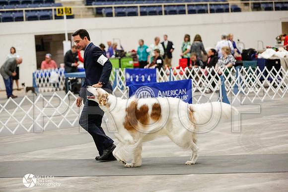 _RH_1773-AblnMay2014-web