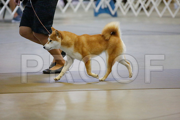 _JJ_8328-AmarilloSept2014-HR3