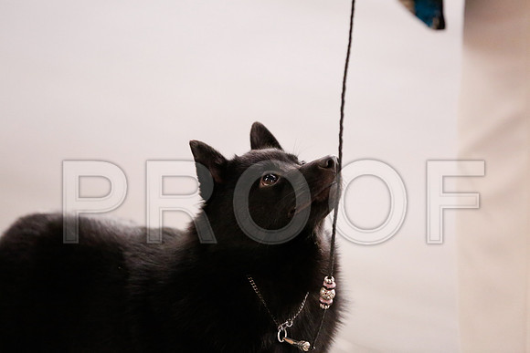 _RH_7057-CarlrolltonSept2014-HR3