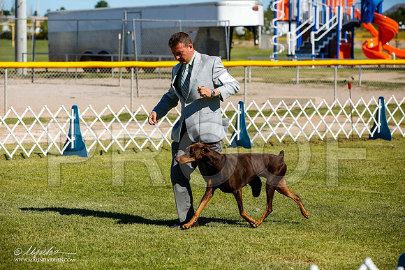 _JJ_9761-AlamogordoOct2014-HR3