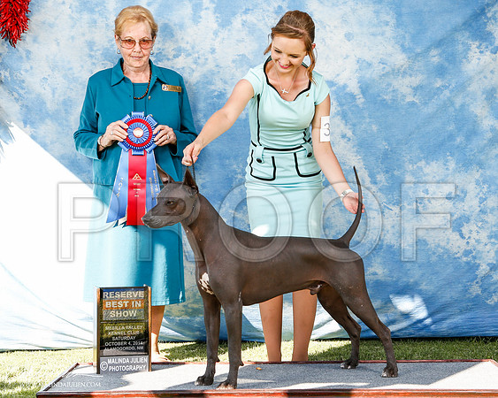 _ST_3087-2-AlamogordoOct2014-HR3