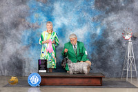 Cesky Terrier #7 Sun OHG1 Judge Jill Warren