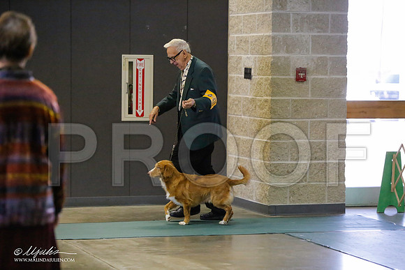 _LH_3075-BeltonJan2015-HR3